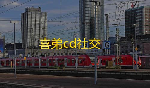 和平科技购买网站喜弟cd社交